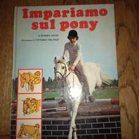 Impariamo sul pony