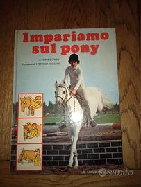 Impariamo sul pony