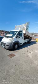 ducato cassone ribaltabile 