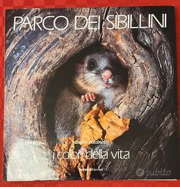 Parco dei Sibillini. I colori della vita