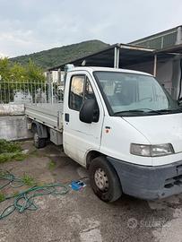 Fiat furgone