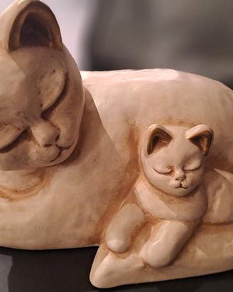 gatto thum 25x17 