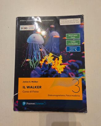 Il Walker Vol.3 – James Walker