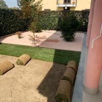 Prato pronto a rotoli