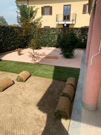 Prato pronto a rotoli