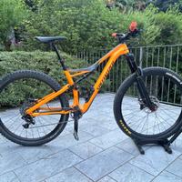 Specialized Stumpjumper FSR Expert Carbon