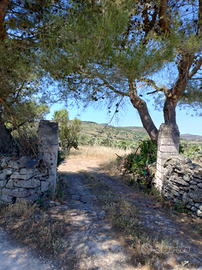 Terreno agricolo