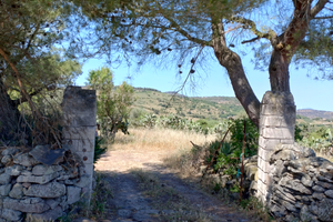 Terreno agricolo