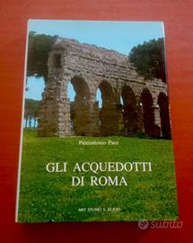 Libro "Gli acquedotti di Roma" di P. Pace