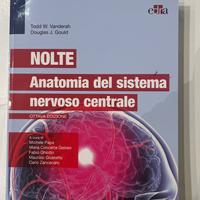 NOLTE Anatomia del sistema nervoso centrale