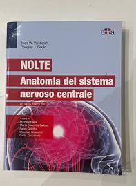 NOLTE Anatomia del sistema nervoso centrale
