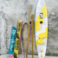 TAVOLA DA WINDSURF FANATIC 295