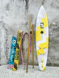 TAVOLA DA WINDSURF FANATIC 295