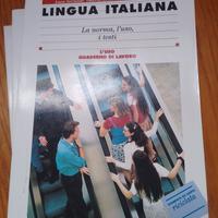 Lingua italiana la norma, l'uso, i testi