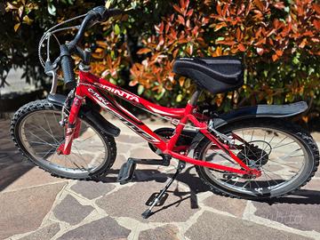 Bicicletta 20 bambino