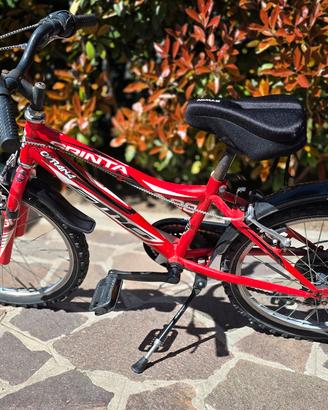 Bicicletta 20 bambino