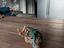 Immagine 1