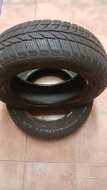 gomme auto