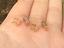 Immagine 6