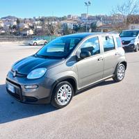 Fiat Panda 1.0 FireFly Hybrid City Life 2023
