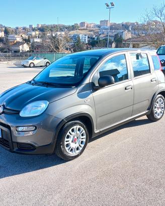 Fiat Panda 1.0 FireFly Hybrid City Life 2023