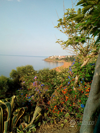 Casa vacanze in Calabria