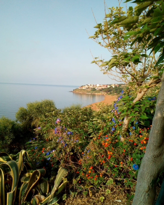 Casa vacanze in Calabria