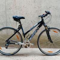 bicicletta SCOTT Sportster P4