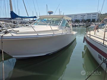 Barca CABO 31