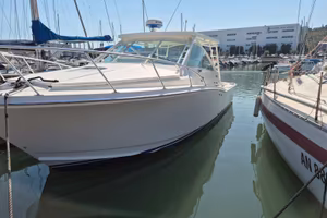Barca CABO 31