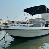 Barca 6 metri + mercury 40cv