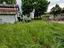 Immagine 26