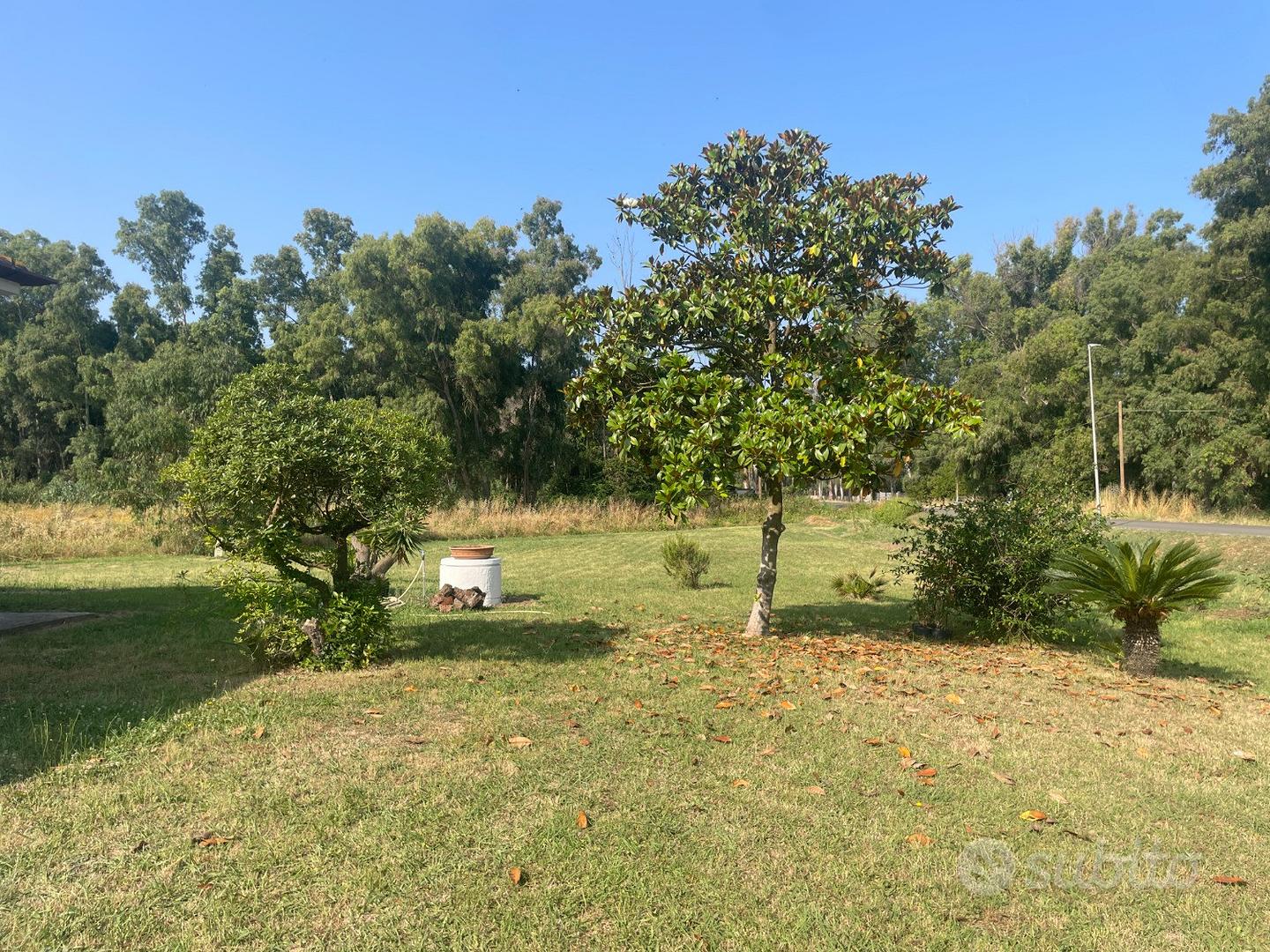 Casa – Latina, Borgo San Michele - Altro