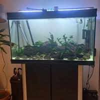 Acquario 200 litri con mobile