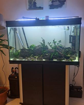 Acquario 200 litri con mobile