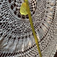 Tappeto copritavolo diam ca. 130