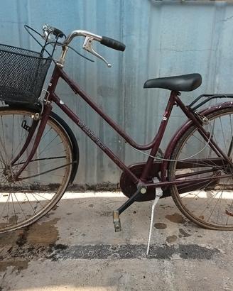 bici donna 