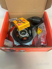 Accensione malossi piaggio ciao