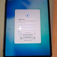 Apple Ipad Pro 12.9" (5a Generazione) WIFI + CEL