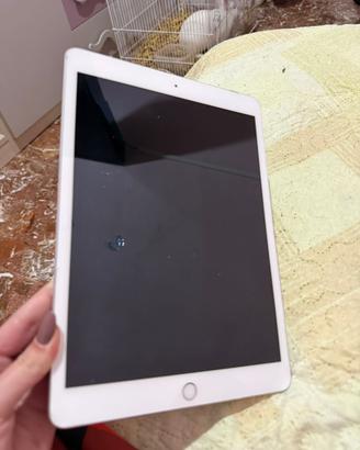Ipad 2019