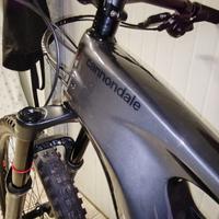 E-Bike Cannondale Moterra Neo 3+ 
