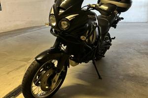 Triumph tiger 955 ie 2001