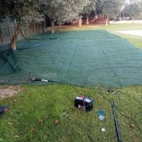 abbacchiatore scuotitore olive a batteria