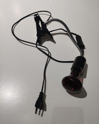 Lampada riscaldante per rettili