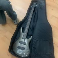 Ibanez EDB 500 Ergodyne