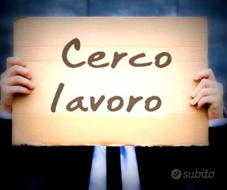 Cerco lavoro