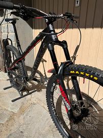 Dartmoor Hornet 2024 – Taglia L – Mullet