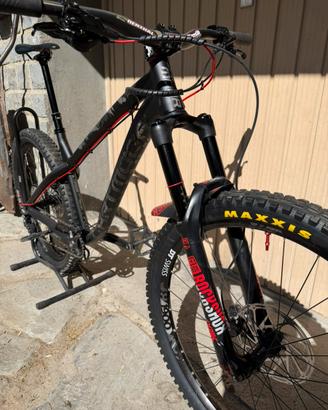 Dartmoor Hornet 2024 – Taglia L – Mullet