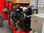 Immagine 6