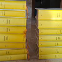 15 volumi dei grandi classici Manzoni, Boccaccio, 